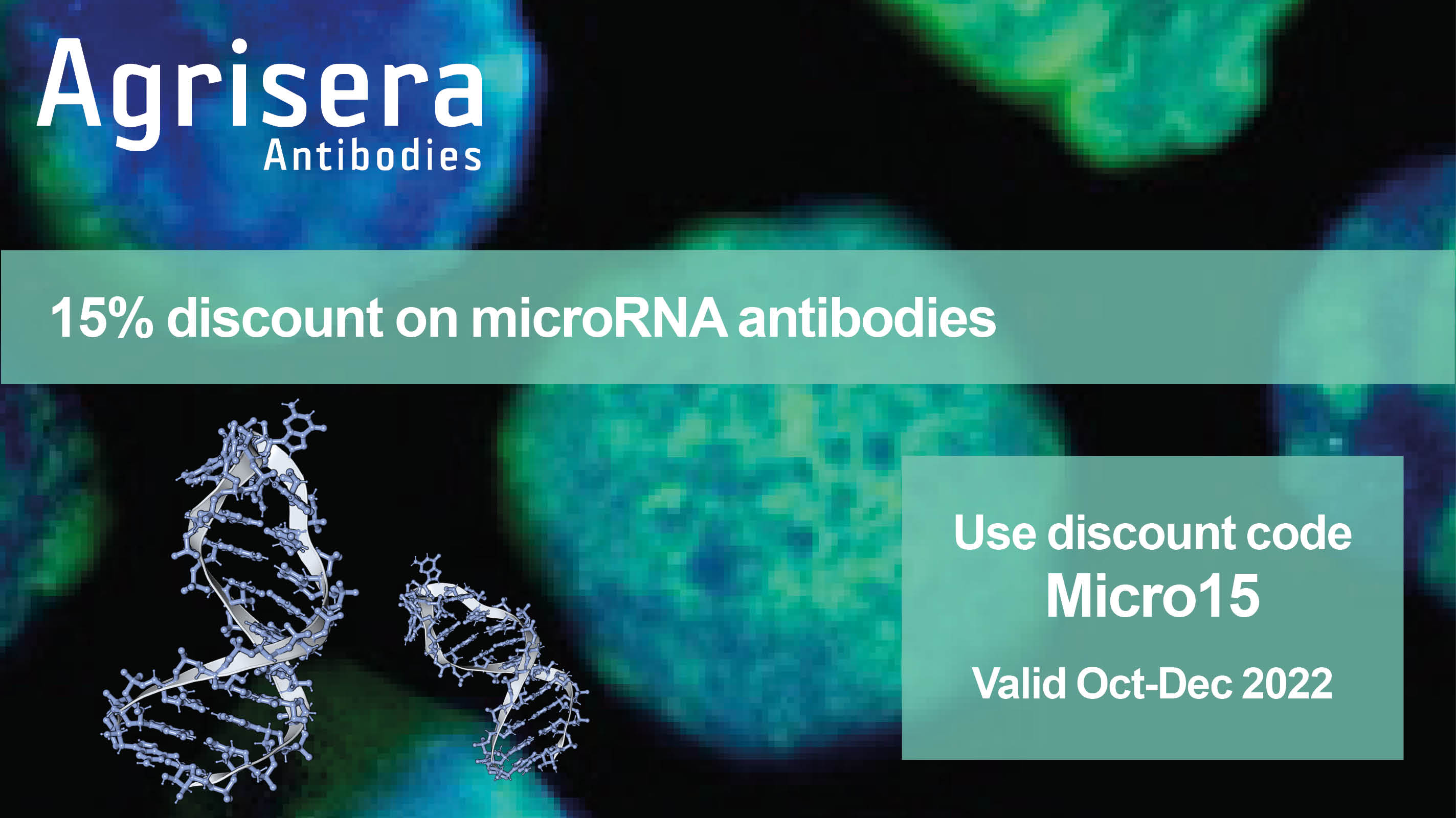 Agrisera MicroRNA Antibody Promo